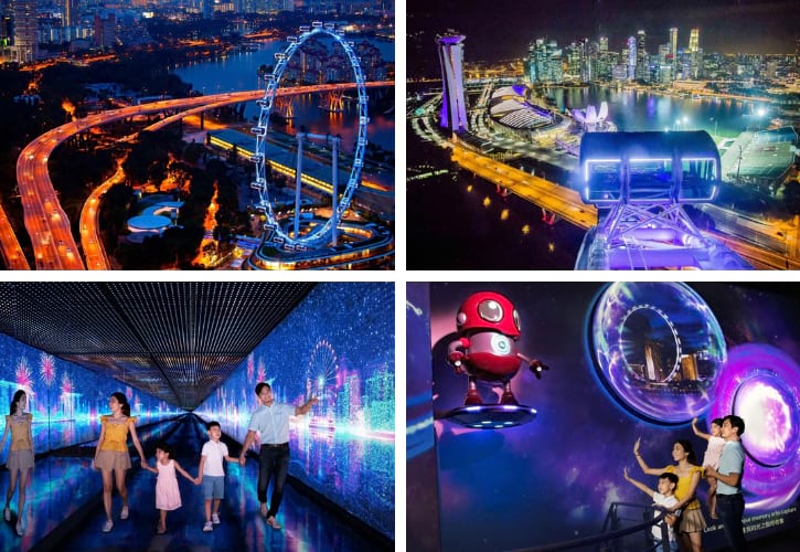 Singapore Flyer Ferris wheel against the night sky, offering a panoramic view of the city