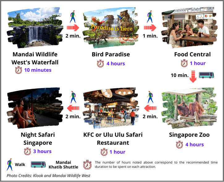 Itinerary for Day 5: Explore Jurong Bird Park, visit Singapore Zoo, and experience the enchanting Night Safari