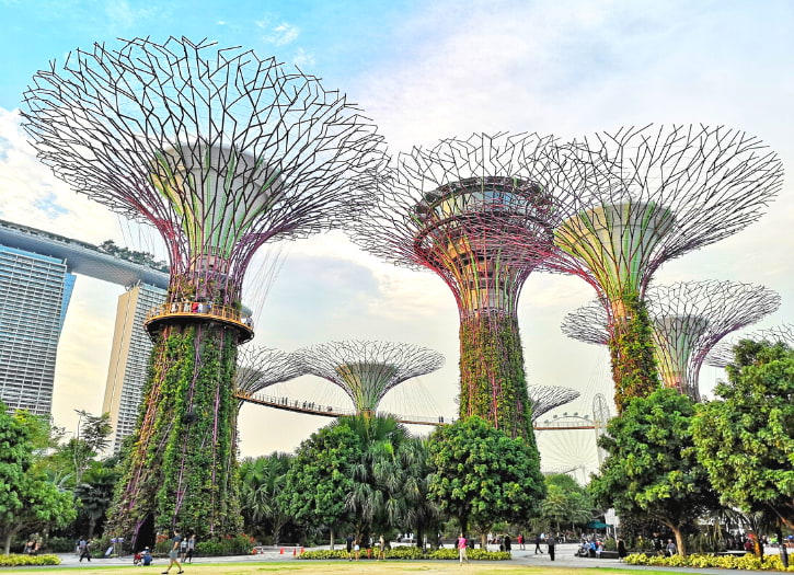 Spectacular view of the futuristic Supertrees at Gardens by the Bay, a Singapore landmark