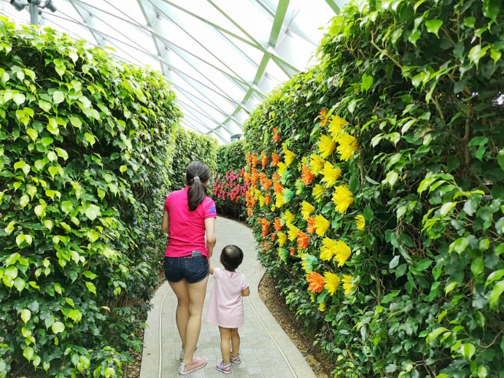 Hedge Maze, one of Canopy Park attractions