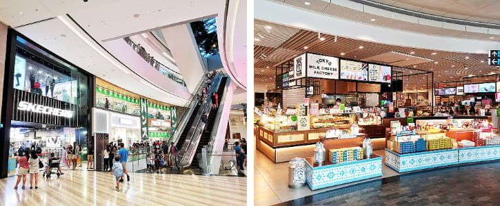 Jewel Changi Airport's Shopping Mall