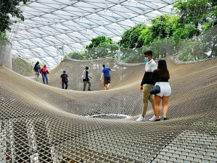 Walking Sky Nets in Canopy Park