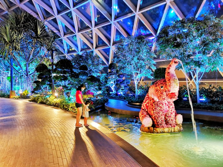 Night View of Topiary Walk