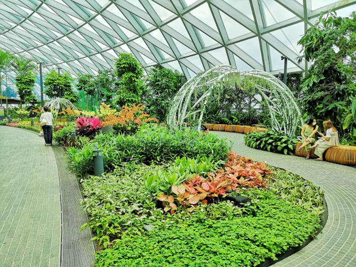 Petal Garden, a chill spot in Canopy Park