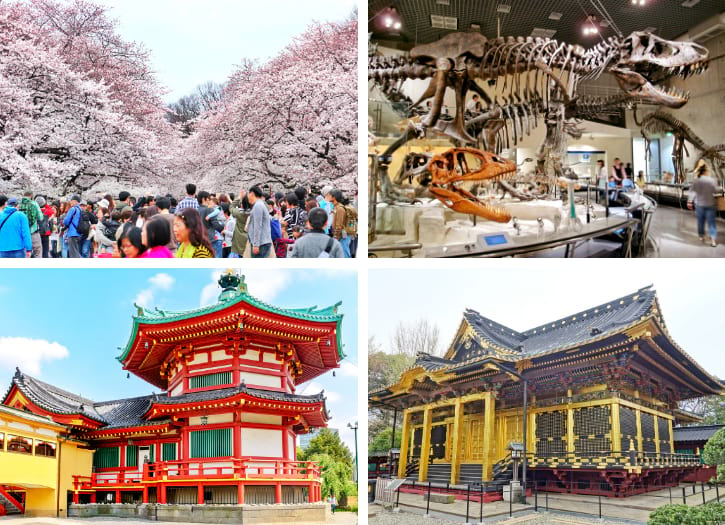 Ueno Park