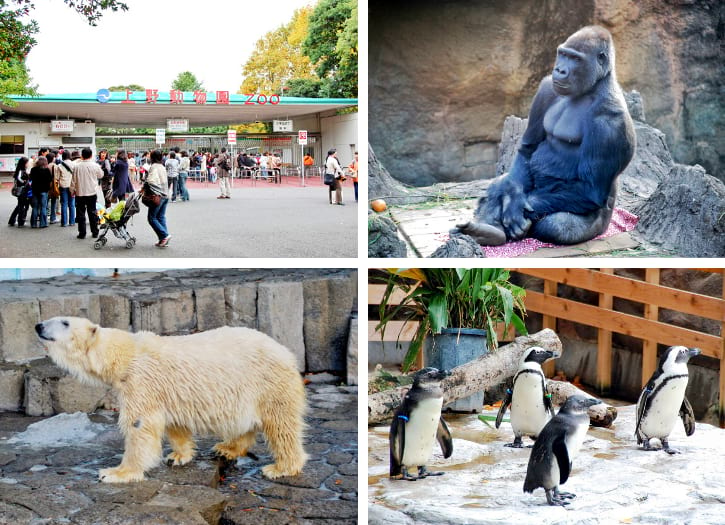 Ueno Zoo