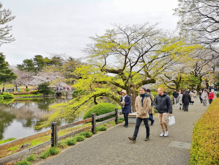 Scenic walking path in Shinjuku Gyoen National Garden