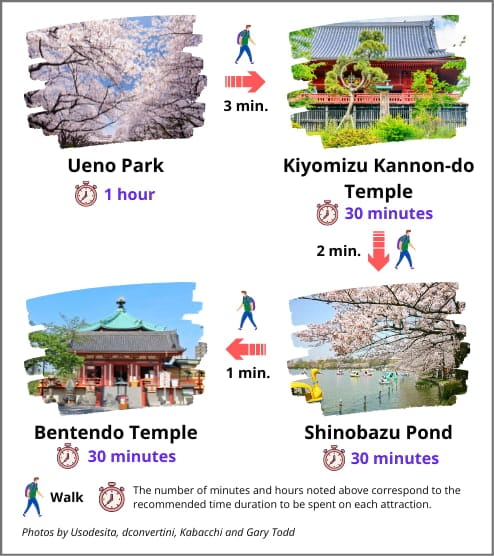 Ueno itinerary guide with cherry blossoms, temples, and pond visit durations