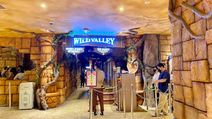 Wild Valley