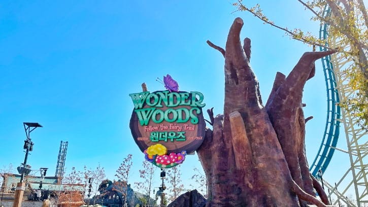 Wonder Woods