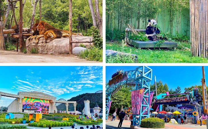 Highlights at Everland: Safari World, Panda World, Four Season Garden, Double Rock Spin