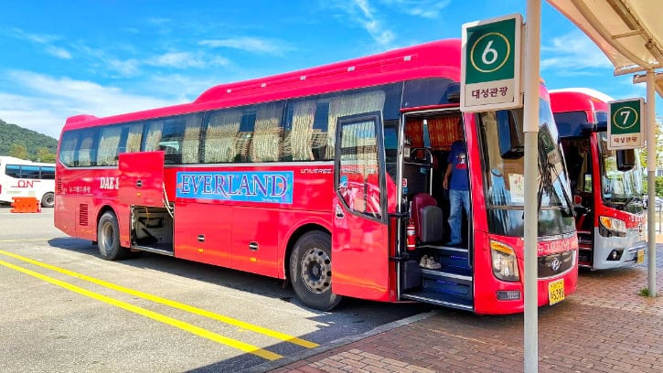 Everland Shuttle Bus