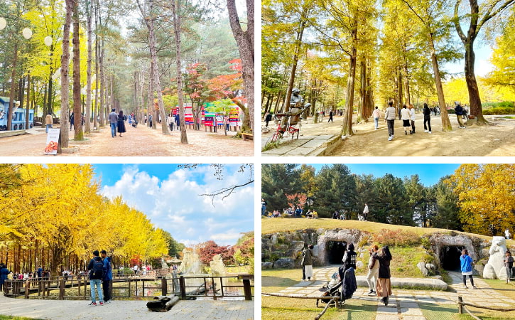 The views of Central Korean Pine Tree Lane, Metasequoia Lane, Dodamsambong Garden, and Moon Hill