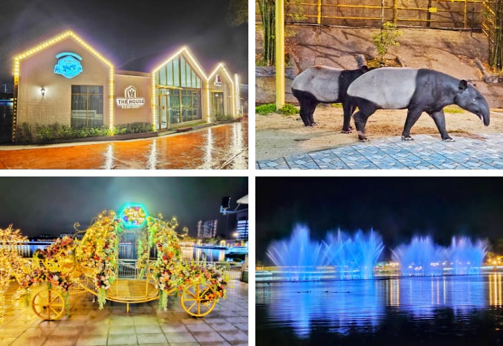 Malayan tapir and Musical Dancing Fountain