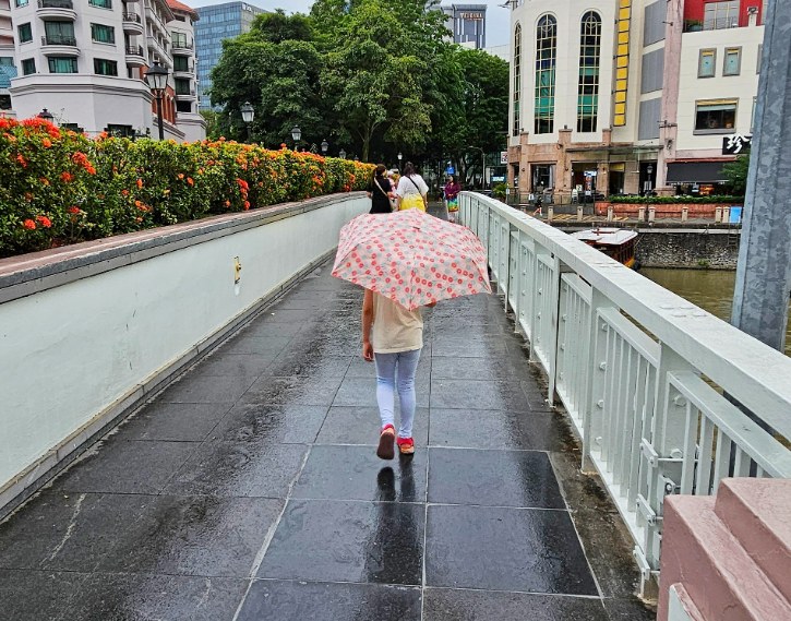 Foldable Umbrella