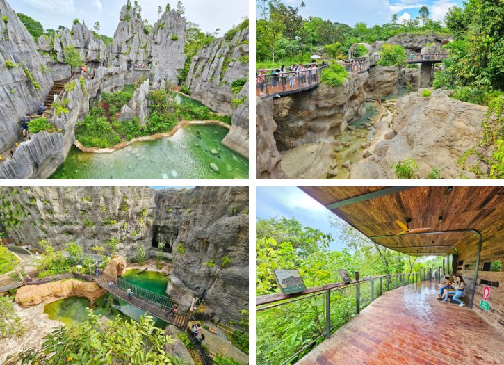Rainforest Wild Asia