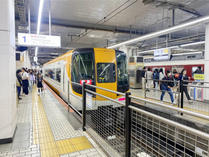 Kintetsu Limited Express Train