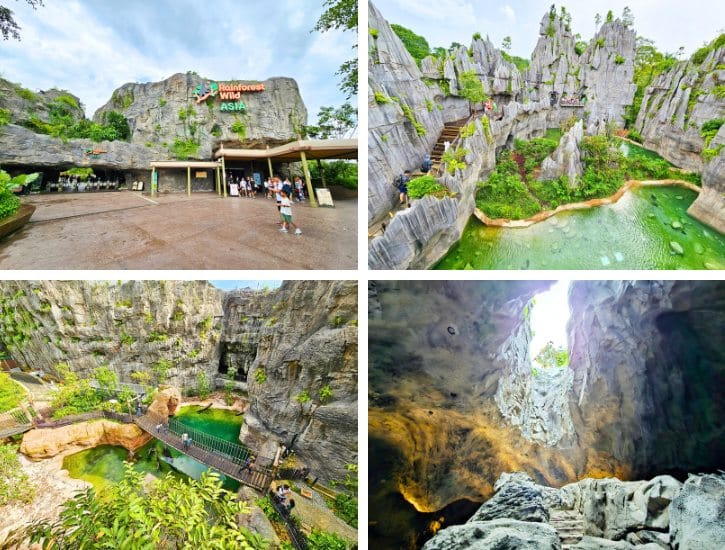 Rainforest Wild Asia