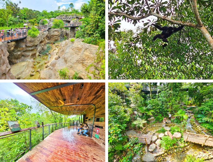 Rock Cascade & Watering Hole