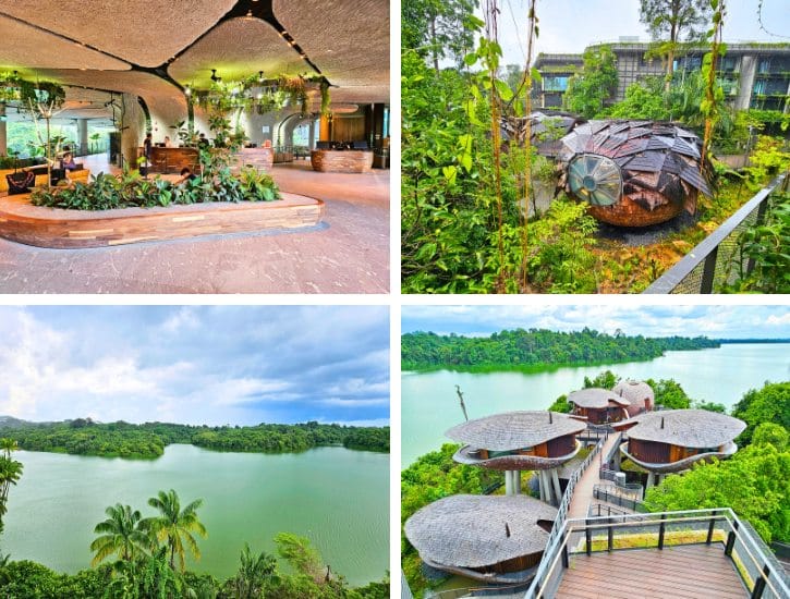 Mandai Rainforest Resort