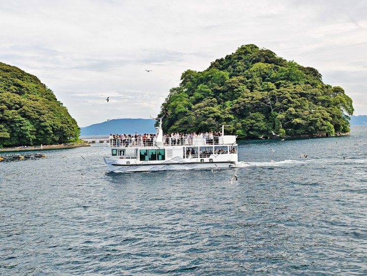Ine Bay Sightseeing Boat