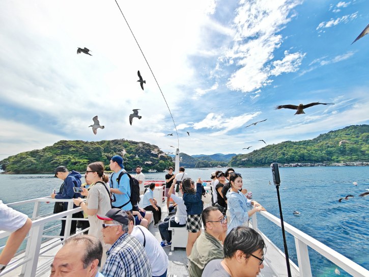 Ine Bay Sightseeing Boat
