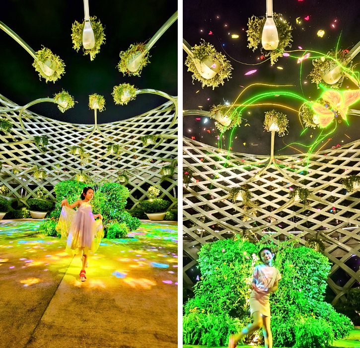 Magical Night Experience