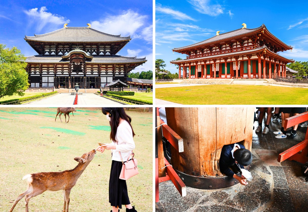 Osaka Nara And Kyoto The Best 7 Day Travel Itinerary Osaka Nara And Kyoto The Best 7 Day Travel Itinerary