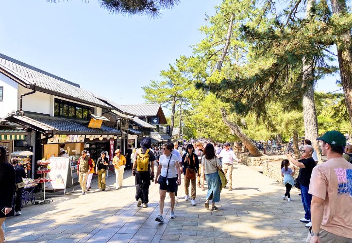 Nara Day Trip