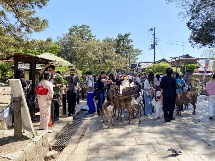 Nara Deer Park
