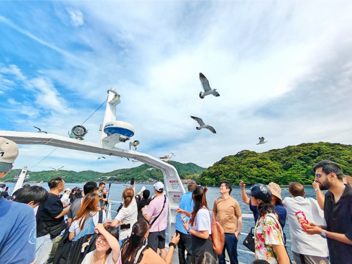 Feed the Seagulls