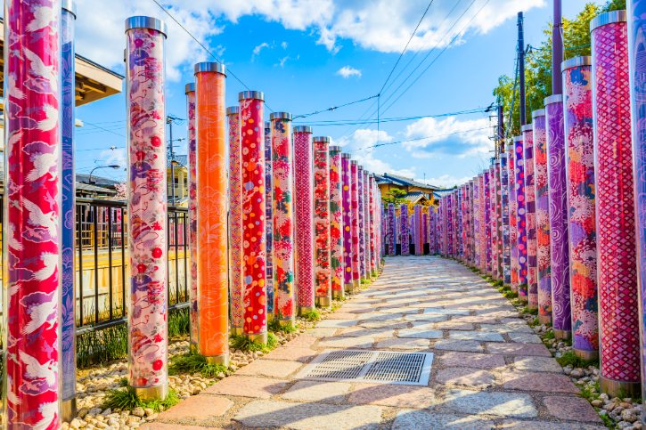 Kimono Forest