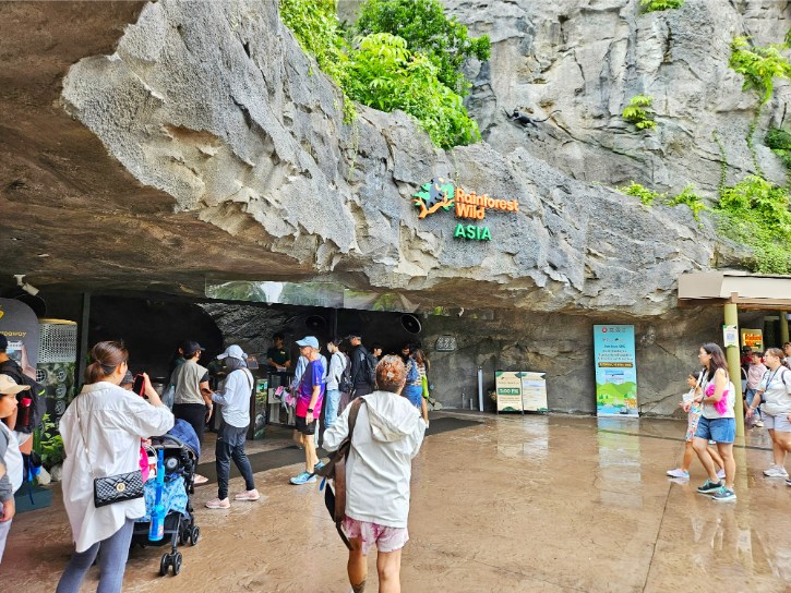 Rainforest Wild ASIA