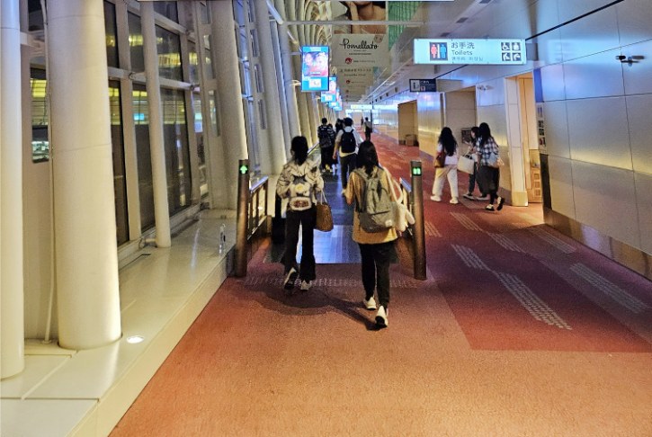 Visitor Heading to Immigration Counter