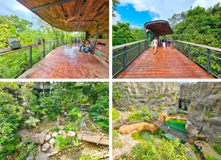 Elevated Walkway