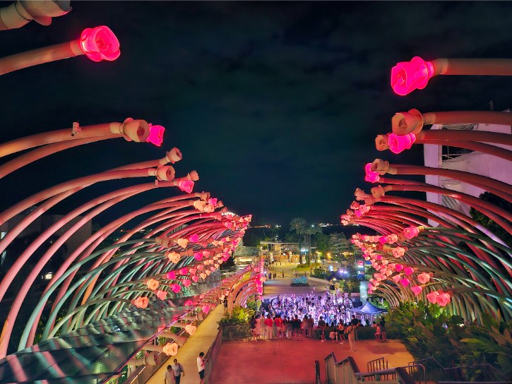 Glow Garden