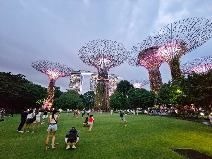 Supertree Grove