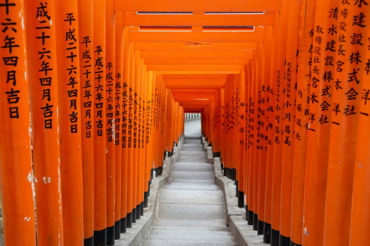 Torii Gates