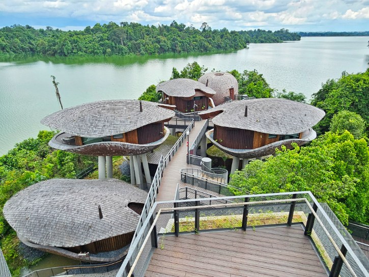 Treehouse Suites