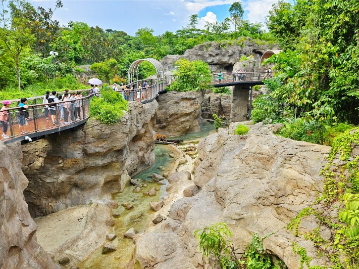 Rainforest Wild Asia