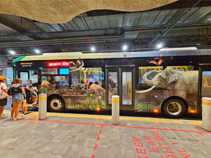 Mandai Shuttle Bus