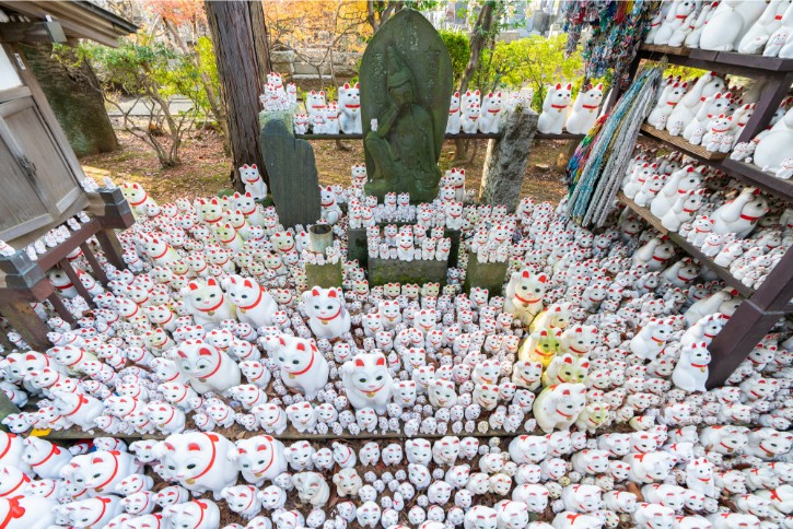 Maneki-neko Collection