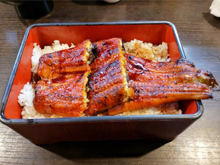Unagi