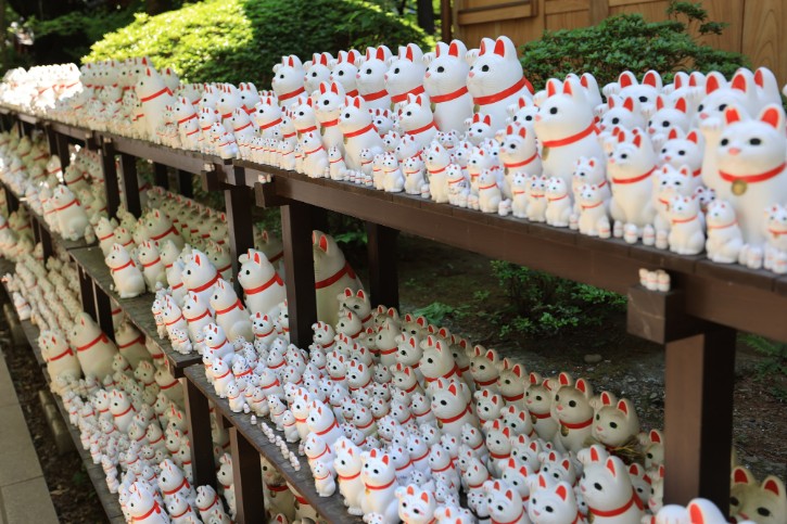 Maneki-neko Displays