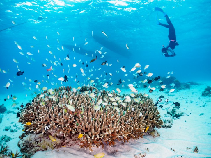 Kerama Islands