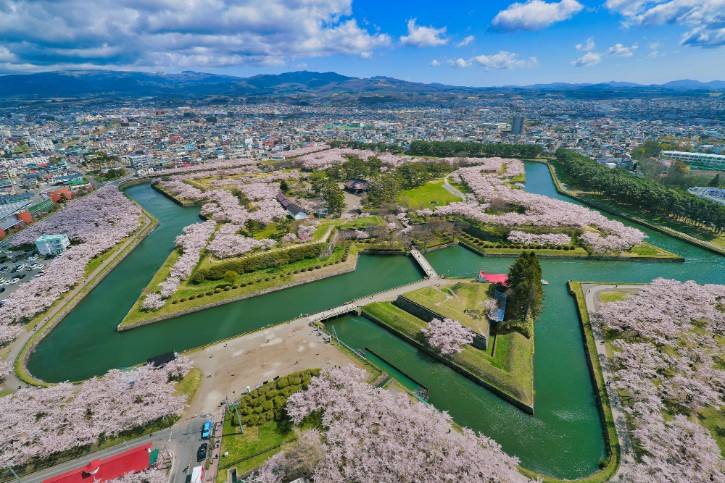 Goryokaku Park in Cherry Blossom Season