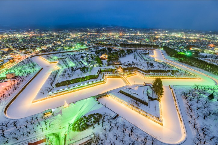 Goryokaku Park in Winter Season