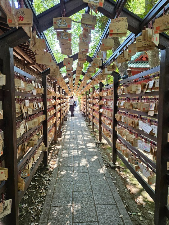 Ema Tunnel