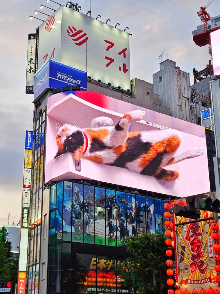 3D Cat Billboard