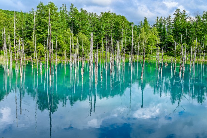 Shirogane Blue Pond